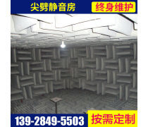 “消失”的秘密 探秘消声室尖劈的科学与商业化前景